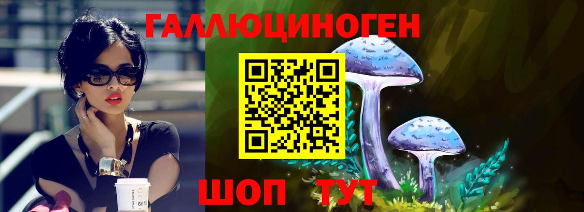 Псилоцибиновые грибы мицелий Ивантеевка